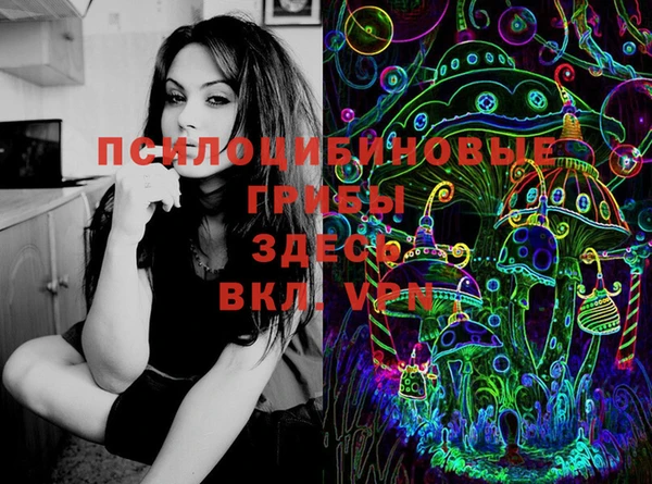 ПСИЛОЦИБИНОВЫЕ ГРИБЫ Балахна